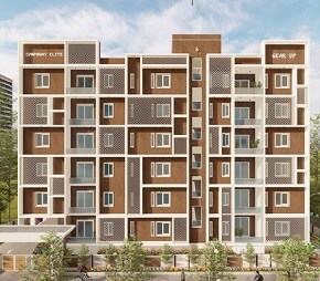 Ashoka visual data 6