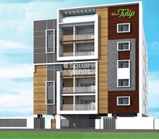 Go Green Tulip Featured Image