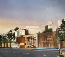 Gold Fish Zresta Featured Image