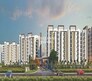 Golden Kalpavriksha Flagship Image