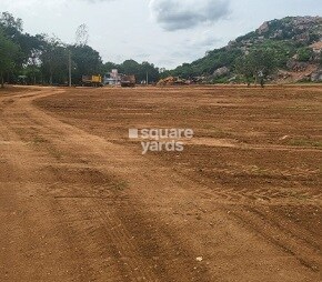 Googee Diamond Hills