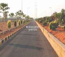 Green City Dukes County Featured Image