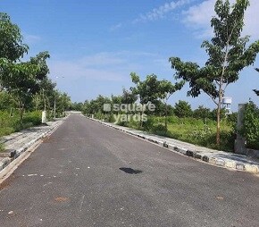 Green City Western County