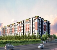 Green Kadamba Forest Featured Image