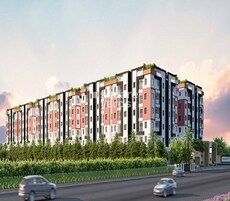 Green Kadamba Forest Featured Image