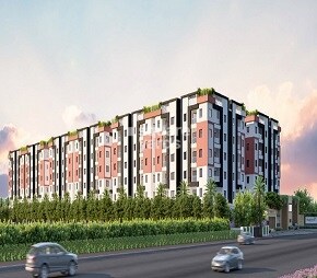 Green Kadamba Forest