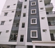 Green Roovez Featured Image