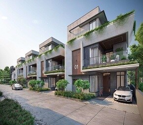 Grupe Tranquil Emerald