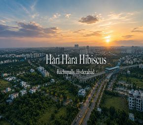 Hari Hara Hibiscus Featured Image