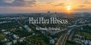 Hari Hara Hibiscus in Bachupally, Hyderabad