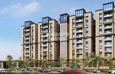 Highrise Forest Edge Featured Image