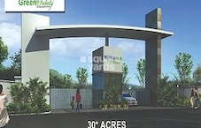 Highway Green Orchids Featured Image