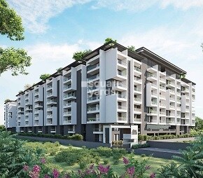 Hivision Heights