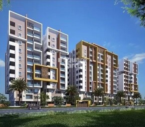 Ideas Shoba Nath