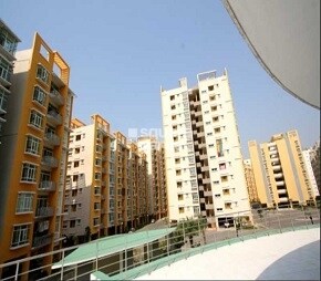 IJM Raintree Park Phase I Featured Image