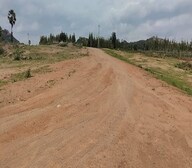 Indo ORR East Organica Video