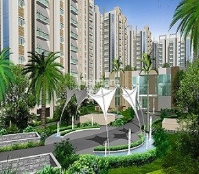 Jains Carlton Creek