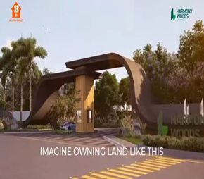 JB Harmony Woods Featured Image