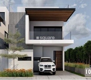 Kakatiya Mango Leaf Ext