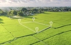 Kamala Amulya Green City Featured Image