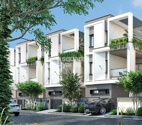 Kamala Amulya Green Lands