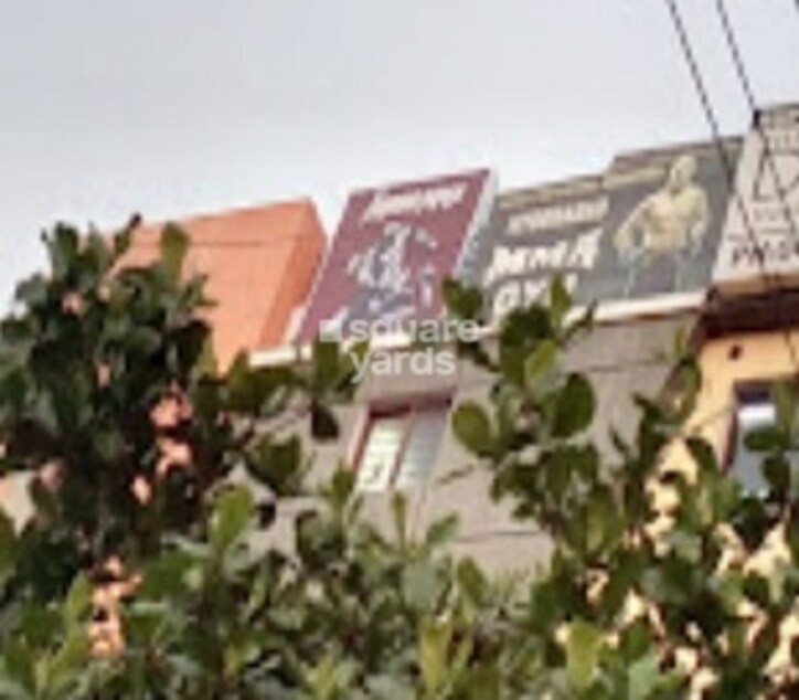 Kolan Veera Reddy Complex Cover Image