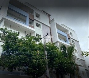 Koven Surya Emerald