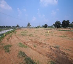 Landvision Orange County, Burgula Village, Hyderabad