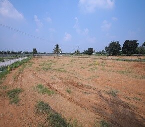 Landvision Orange County