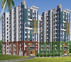 Legend Coconut Grov Featured Image