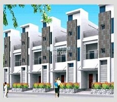 Legend Marigold Featured Image