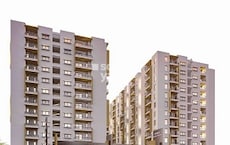 Manbhum A Grove By The Lake Featured Image