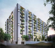 Manbhum Around The Grove Video