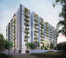 Manbhum Around The Grove Featured Image