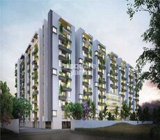 Manbhum Around The Grove Featured Image