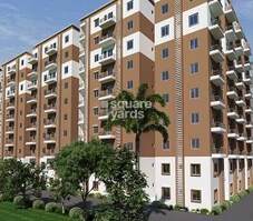 Maple Crown Featured Image