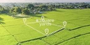 MGY Plots in Piglipur, Hyderabad