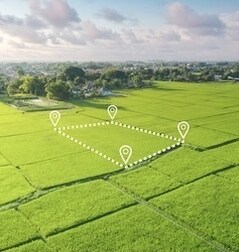 Millenniums SSV Marvella Homes Millenniums SSV Marvella Homes