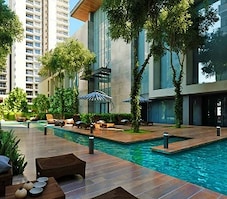 MSN One Featured Image