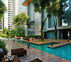 MSN One Featured Image