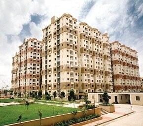 My Home Jewel