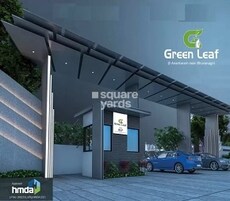 Myland Green Leaf Featured Image