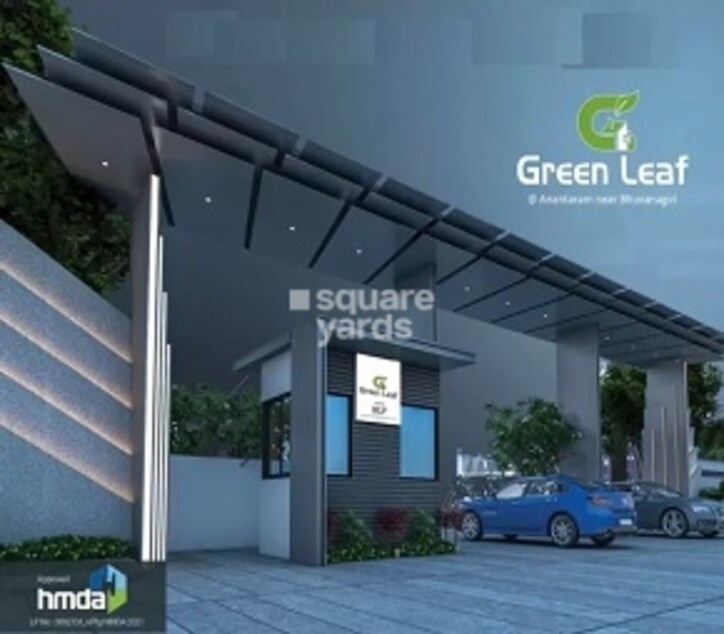Myland Green Leaf Cover Image