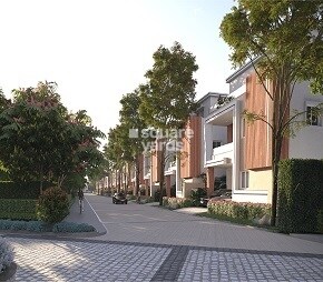Naandi Mayfair Sunrise