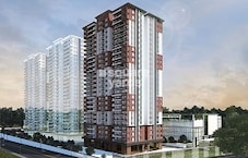 Namishree Aria Featured Image