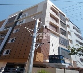 Nani Vemulapally Highlights