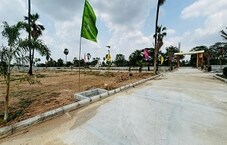 Nature View Hyderabad Featured Image