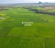 Navya The Capital Featured Image