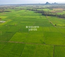 Navya The Capital Featured Image