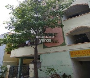 NBR Complex